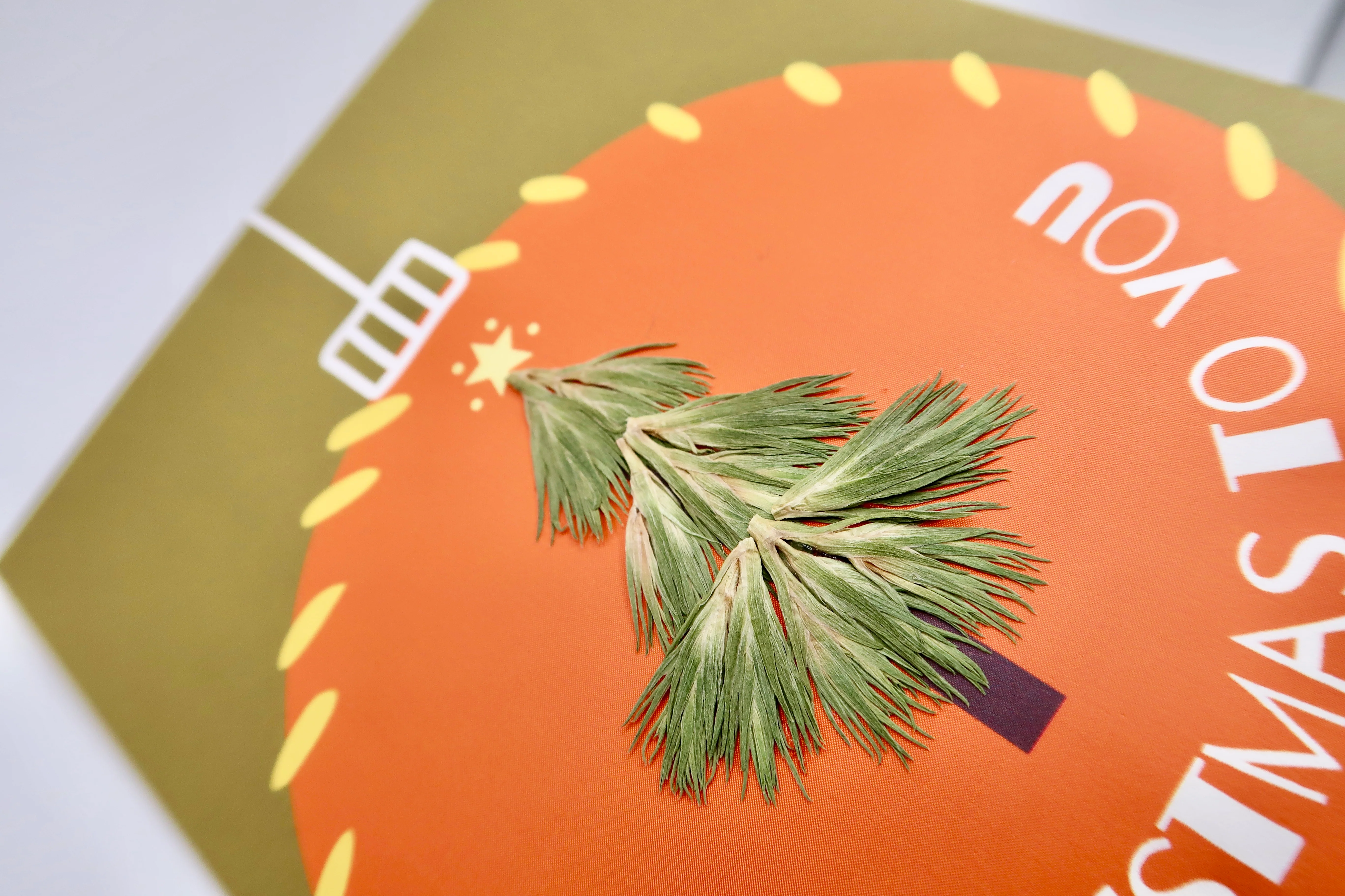 Merry Christmas to You Card - Image 3