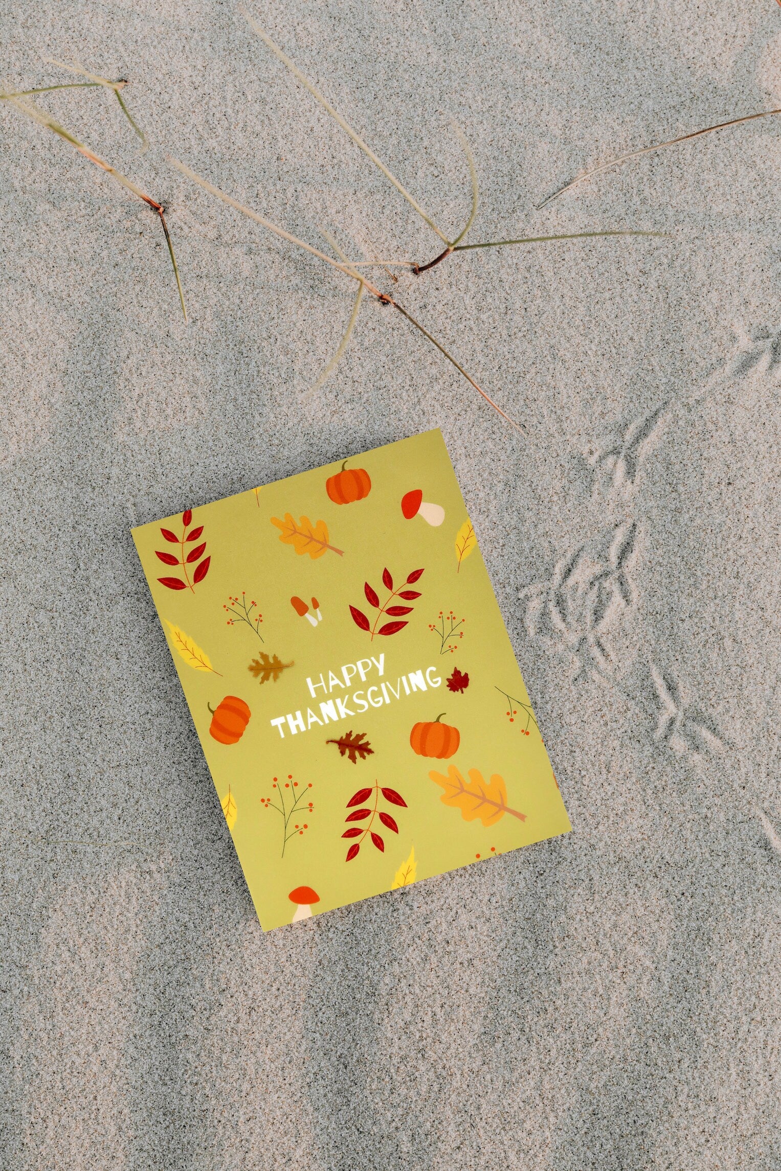 Thanksgiving Card - Image 3